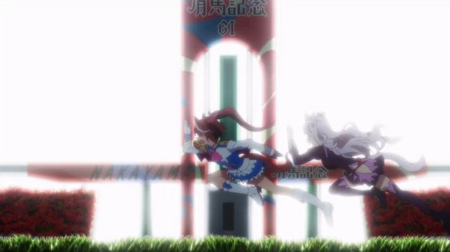 Finish Post of Uma Musume